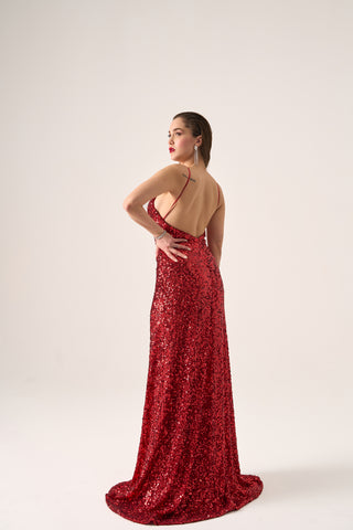 Full-length evening dress with a low open back and shimmering sequins, creating a luxurious and captivating look for special events.
