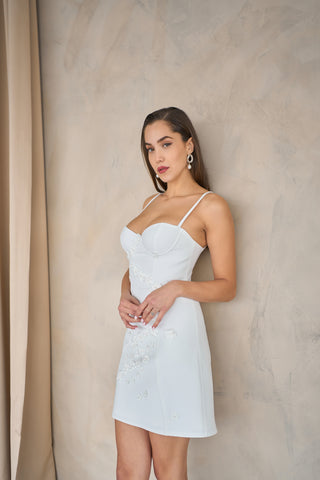 Mini evening dress with a tailored sheath silhouette, sweetheart neckline, and delicate floral appliqué accents.