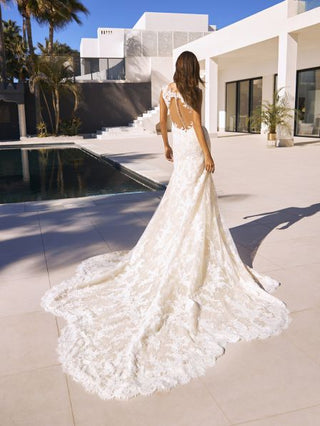 Back view of Lyra Lace gown showing lace detail and soft train.