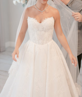 Sculpted lace ballgown