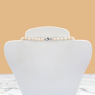 Lumina Duo Pearl Cascade Necklace