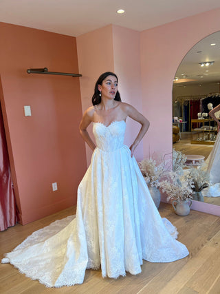 Sculpted lace ballgown
