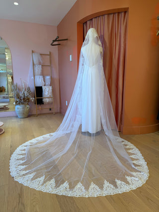 Cathedral Veil – Royal Lace Edge