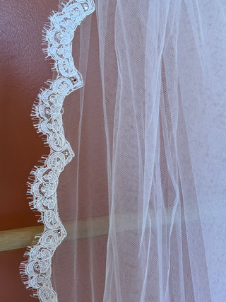 A cathedral length bridal veil with lace edge in ivory color.