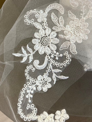 V537 Veil