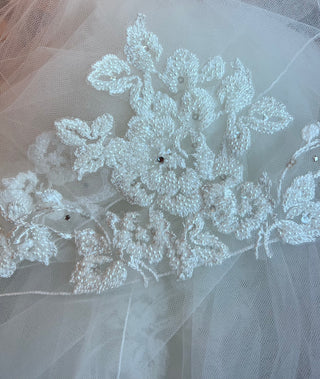 V553 Veil