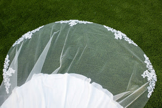 V553 Veil
